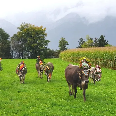 Gaestehaus Koessler トゥルフェス